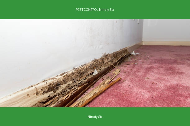 PEST CONTROL Ninety Six